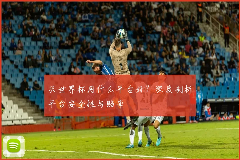 买世界杯用什么平台好？深度剖析平台安全性与赔率