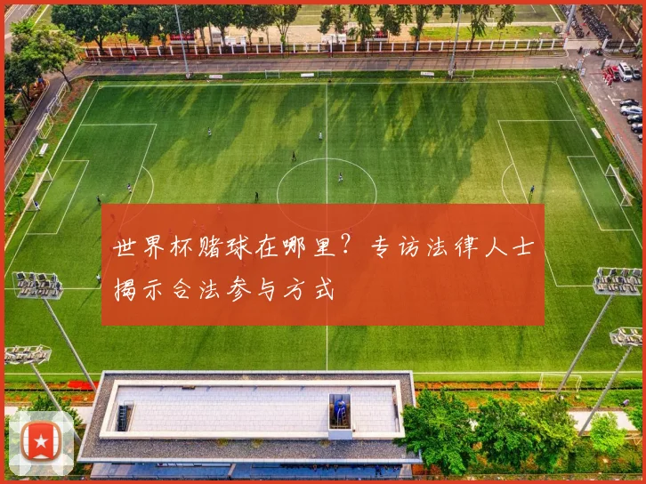 世界杯赌球在哪里？专访法律人士揭示合法参与方式