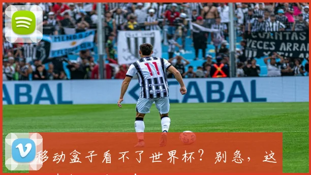 移动盒子看不了世界杯？别急，这里有解决办法！